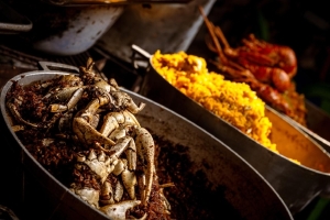 WhatsApp Image 2026-04-22 at 11.57.57 AM.jpeg