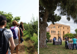 Copie de Castelldefels.png